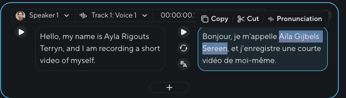The editor's first segment: the English sentence and its translation, where the name Ayla Rigouts Terryn comes out as Aila Gijbels Sereen