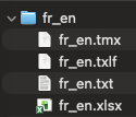 Le dossier fr_en et ses quatre fichiers : fr_en.tmx, fr_en.txlf, fr_en.txt et fr_en.xlsx.