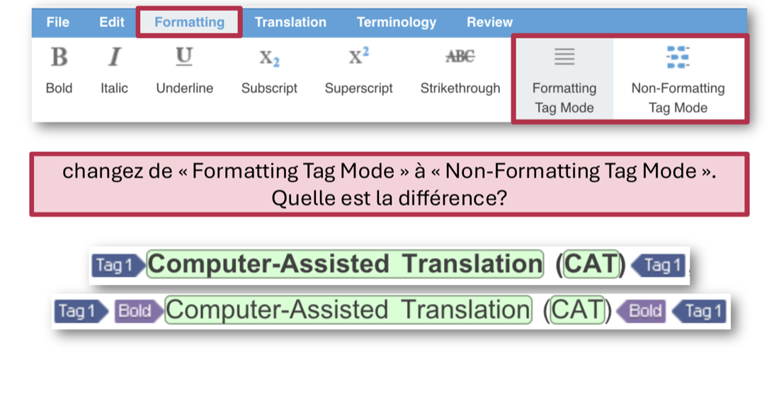 Le ruban Formatting avec ses boutons Bold, Italic, Underline, Subscript, Superscript, Strikethrough, puis Formatting Tag Mode et Non-Formatting Tag Mode ; en dessous, le même segment affiché dans les deux modes, le second faisant apparaître des étiquettes « Bold » supplémentaires.