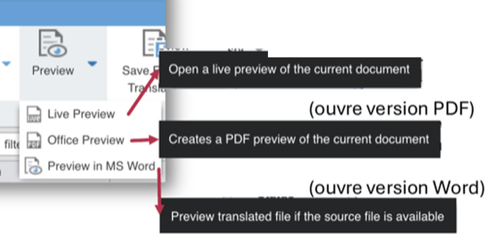 Le bouton Preview du ruban File et son menu déroulé sur trois entrées : Live Preview, Office Preview et Preview in MS Word, avec les infobulles indiquant respectivement un aperçu en direct du document courant, la création d'un aperçu PDF, et l'ouverture du fichier traduit si le fichier source est disponible.