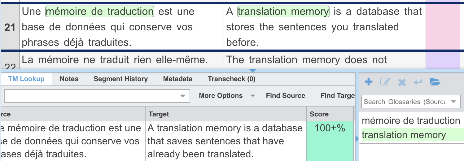 Le segment 21 dont la cible a été réécrite, avec une case de score rose ; le volet TM Lookup montre une seule entrée, à 100+ %, portant encore l'ancienne formulation.